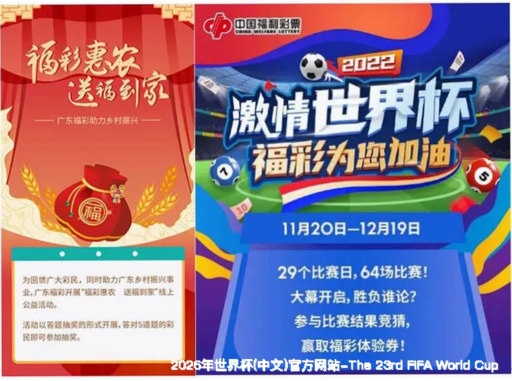 FIFA 中国平台介绍